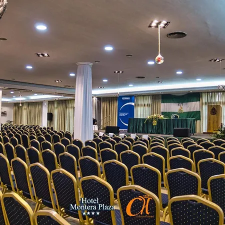 Montera Plaza Hotel 4*
