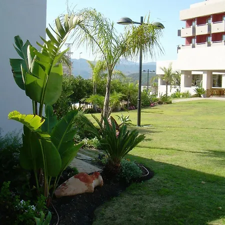 Montera Plaza Los Barrios